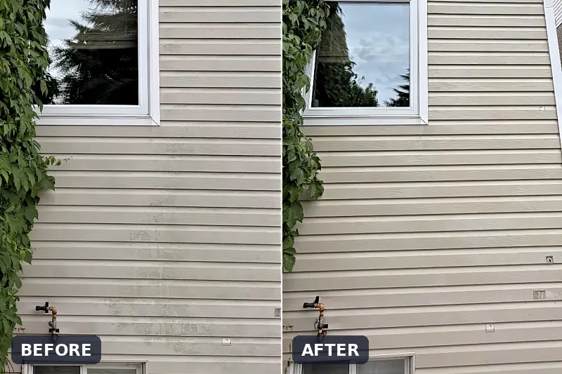 House soft washing: vinyl siding before and after