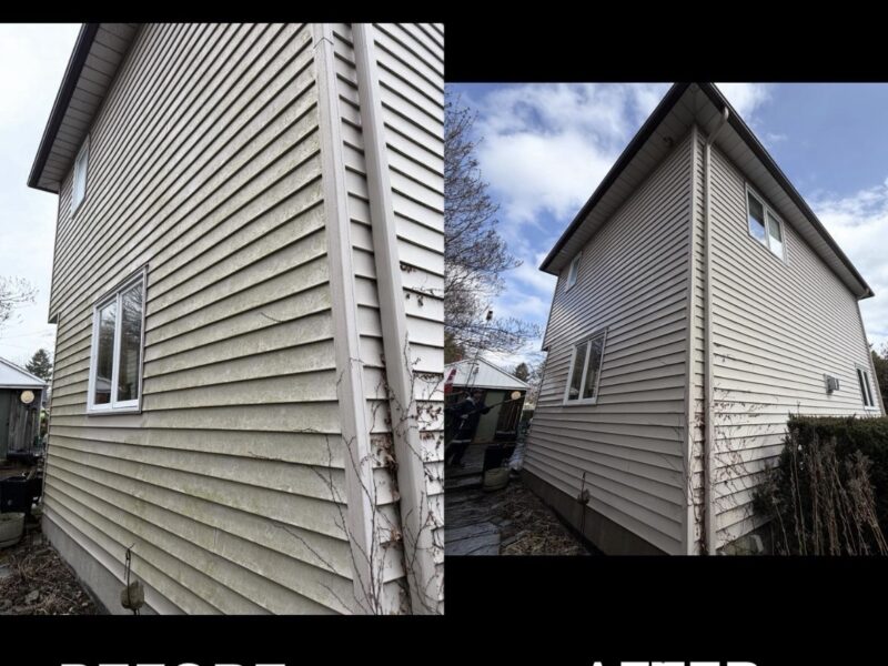 Residential soft wash | Pickering, ON