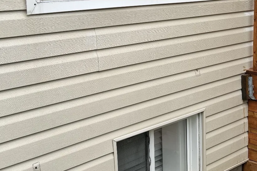 After: The same siding and basement window clean after a house soft wash