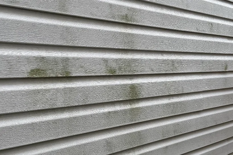 Before: Beige vinyl siding with green algae streaks
