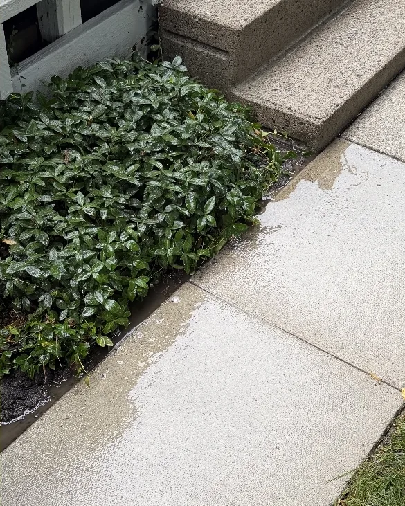 After: The same concrete steps and walkway bright after pressure washing