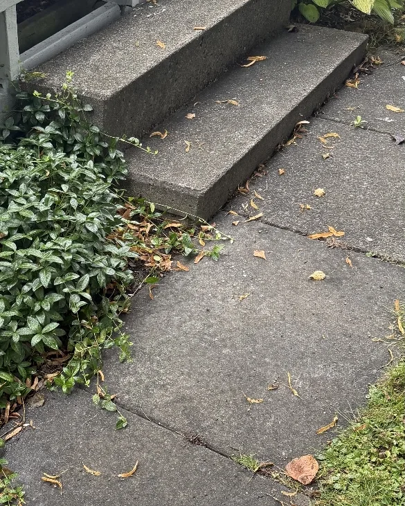 Before: Concrete front steps and walkway stained grey with dirt